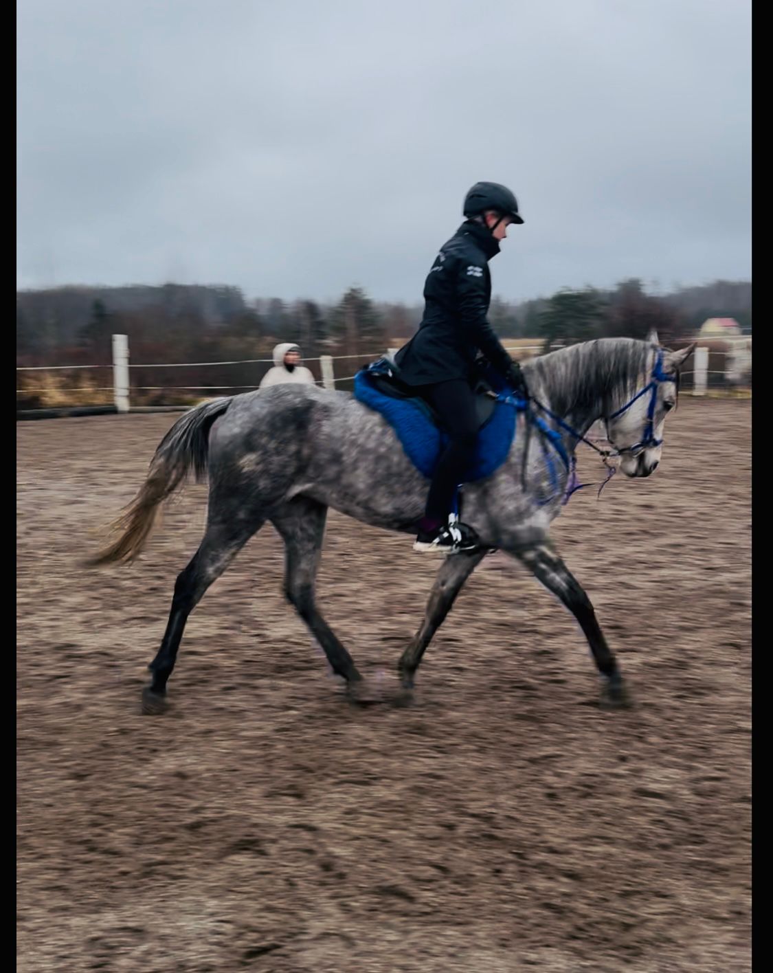 Team Suonpää/Matkaratsastustallin valmennus